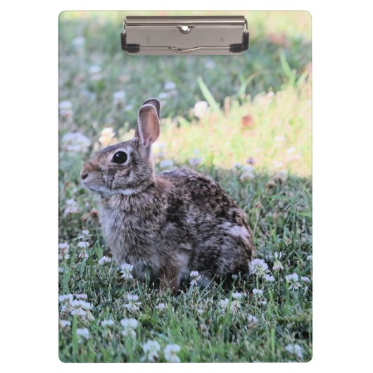 Porte-bloc Lapin (Devant)