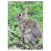 Porte-bloc Lapin (Dos)