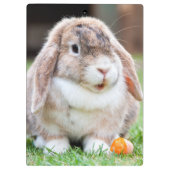 Porte-bloc lapin à oreilles de lop mignon (Dos)