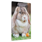 Porte-bloc lapin à oreilles de lop mignon (Swatch)