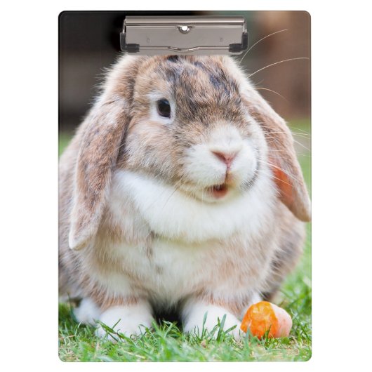 Porte-bloc lapin à oreilles de lop mignon (Devant)