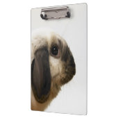 Porte-bloc Lapin regardant le lapin (Gauche)