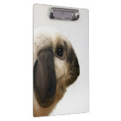 Porte-bloc Lapin regardant le lapin (Swatch)