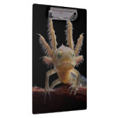 Porte-bloc Larve crêté de triton (Swatch)