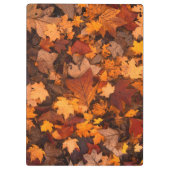 Porte-bloc l'automne (Dos)