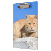 Porte-bloc Lazy cat (Gauche)