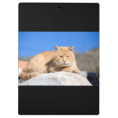 Porte-bloc Lazy cat (Dos)