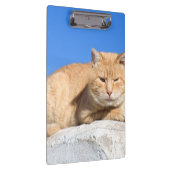 Porte-bloc Lazy cat (Swatch)