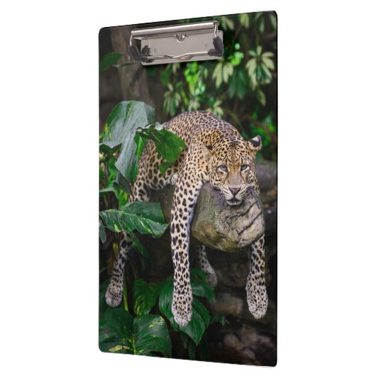 Porte-bloc Lazy léopard (Gauche)