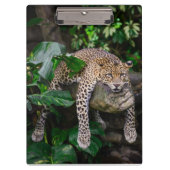 Porte-bloc Lazy léopard (Devant)