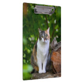 Porte-bloc Le chat (Swatch)