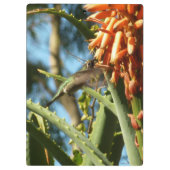 Porte-bloc Le colibri de Chine noire en vol (Dos)