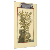 Porte-bloc Le corail de la mer (Swatch)