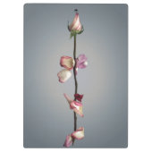 Porte-bloc Le dernier pétal... (Dos)