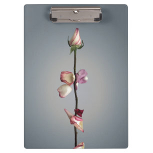 Porte-bloc Le dernier pétal...