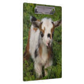 Porte-bloc Le goélette nain nigérian aux yeux bleus (Swatch)