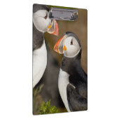 Porte-bloc Le Macareux atlantique (Swatch)