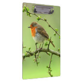 Porte-bloc Le Robin (Swatch)