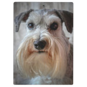 Porte-bloc Le visage de Schnauzer Dog (Dos)