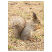 Porte-bloc L'écureuil mignon mange une photo de noix (Dos)