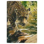 Porte-bloc Leopard Crossing a Stream Photographie (Dos)