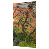 Porte-bloc L'Érable Dans Les Jardins Japonais En Automne (Gauche)