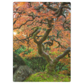 Porte-bloc L'Érable Dans Les Jardins Japonais En Automne (Dos)