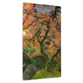 Porte-bloc L'Érable Dans Les Jardins Japonais En Automne (Swatch)