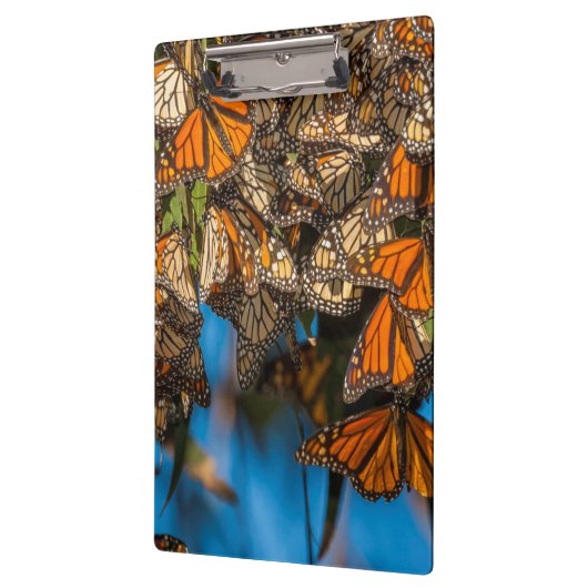 Porte-bloc Les papillons de monarque de migration (Gauche)