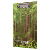 Porte-bloc Les séquoias au monument national de Muir Woods (Gauche)