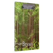 Porte-bloc Les séquoias au monument national de Muir Woods (Swatch)