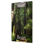 Porte-bloc Les séquoias et les fougères du parc national Redw (Gauche)