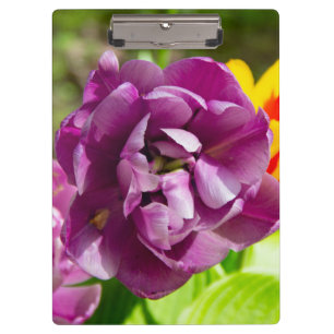 Porte-bloc Lilac tulipes sur une journée ensoleillée