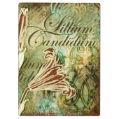 Porte-bloc Lillium candidum (Dos)