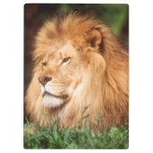 Porte-bloc Lion adult (Dos)