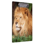 Porte-bloc Lion adult (Swatch)