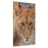 Porte-bloc Lion CUB (Swatch)