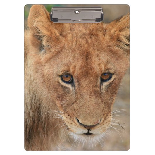 Porte-bloc Lion CUB (Devant)