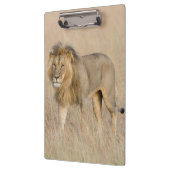 Porte-bloc Lion marchant (Gauche)