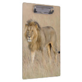 Porte-bloc Lion marchant (Swatch)