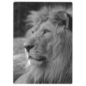 Porte-bloc Lion noir et blanc - Animal sauvage (Dos)