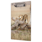 Porte-bloc Lioness stretching (Gauche)