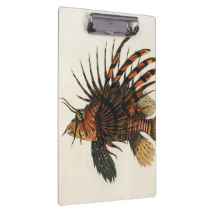 Porte-bloc Lionfish Poisson, Vieille Marine Vie Océanique Ani