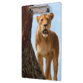 Porte-bloc Lionne (Gauche)