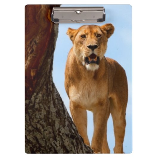 Porte-bloc Lionne (Devant)