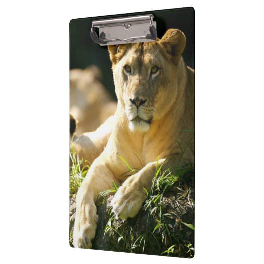 Porte-bloc Lions (Gauche)