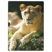 Porte-bloc Lions (Dos)