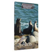 Porte-bloc Lions de la mer de San Diego (Swatch)