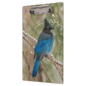 Porte-bloc L'oiseau-geai de Steller dans l'arbre (Gauche)