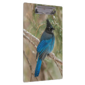 Porte-bloc L'oiseau-geai de Steller dans l'arbre (Swatch)